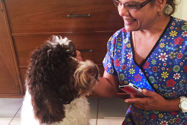 AstraCare Therapy Dog Bentley